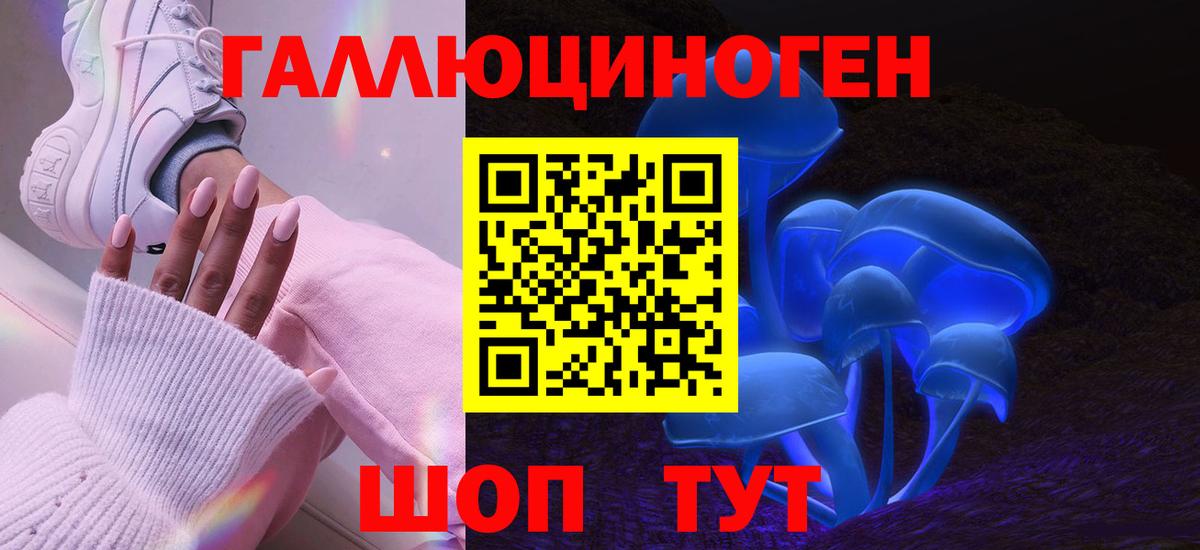 Галлюциногенные грибы MAGIC MUSHROOMS  Вход с VPN  Королёв 