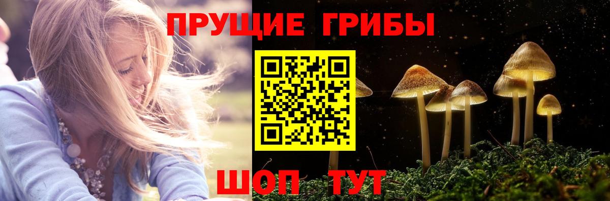 Галлюциногенные грибы ЛСД Королёв